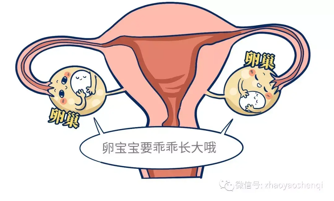 胃肠道不舒服小腹肿块竟然可能是卵巢癌的早期症状