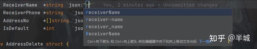 GoLand 结构体 json补全 自定义默认显示格式 - 知乎