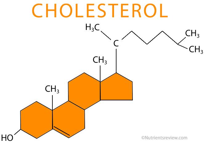胆固醇又名"cholesterol","chol"就是胆汁,"sterol"就是类固醇,属于