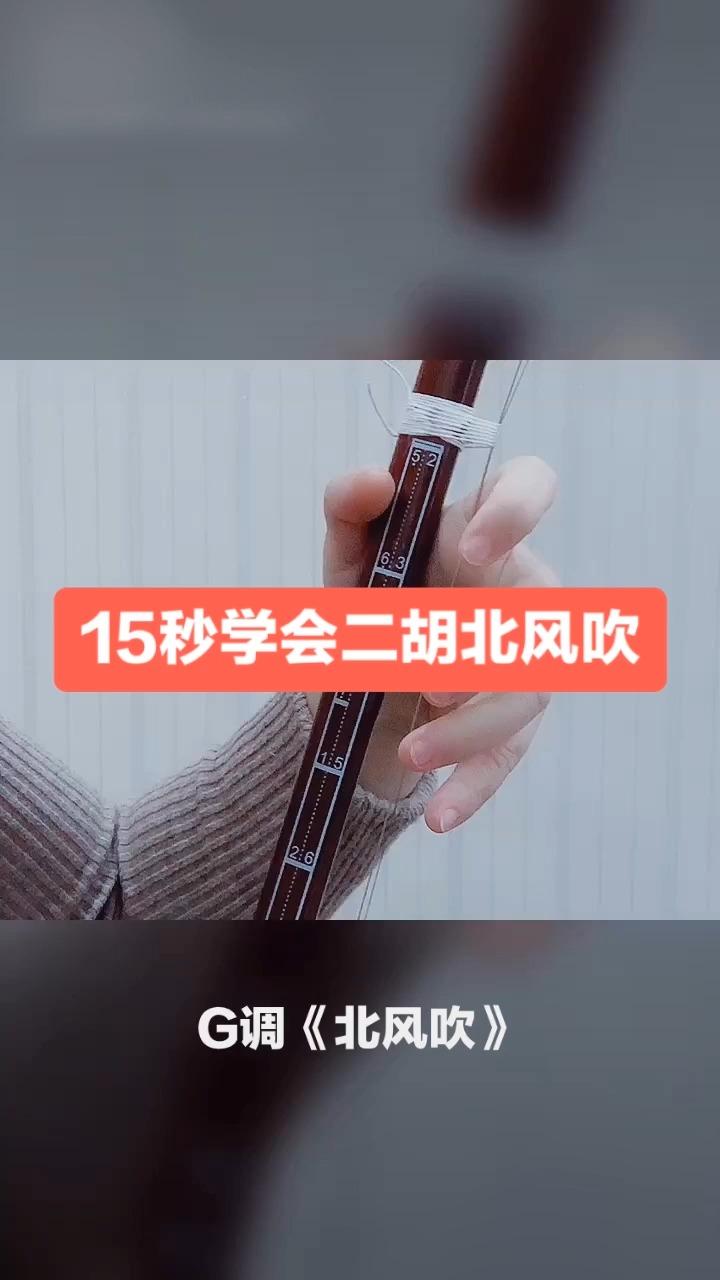 2915秒学会二胡北风吹颂音坊二胡教学