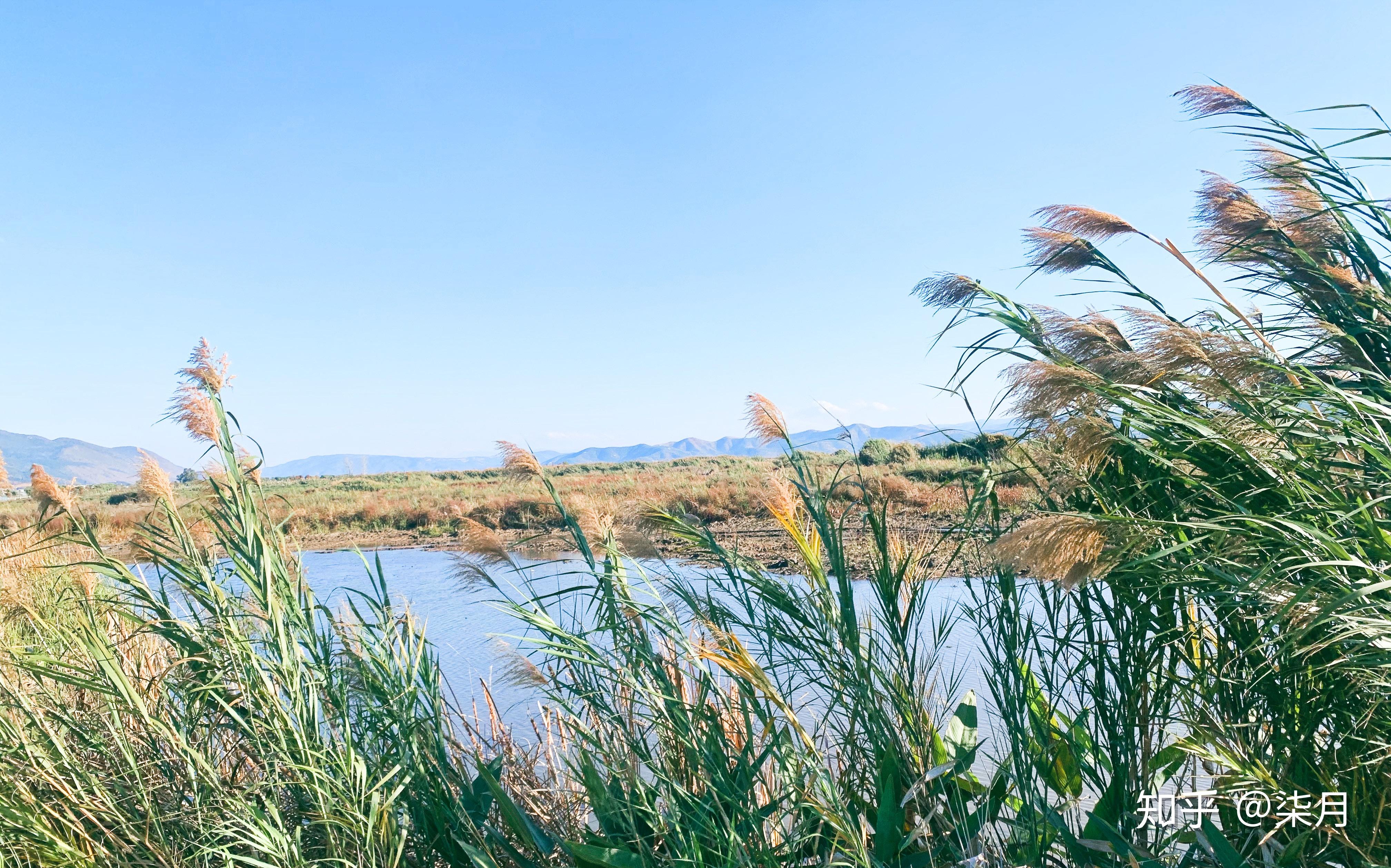 哪些人事物食物风景让你觉得人间值得?