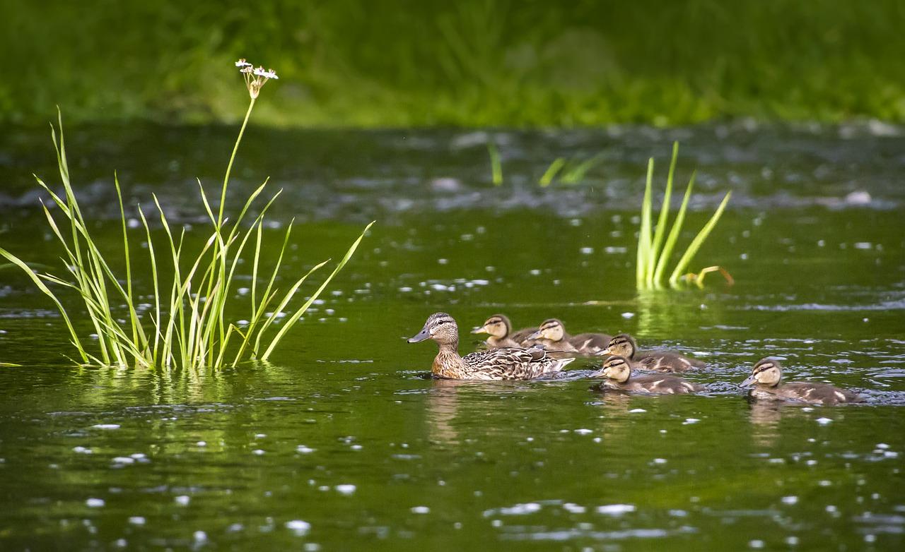 2. 排水系统不畅