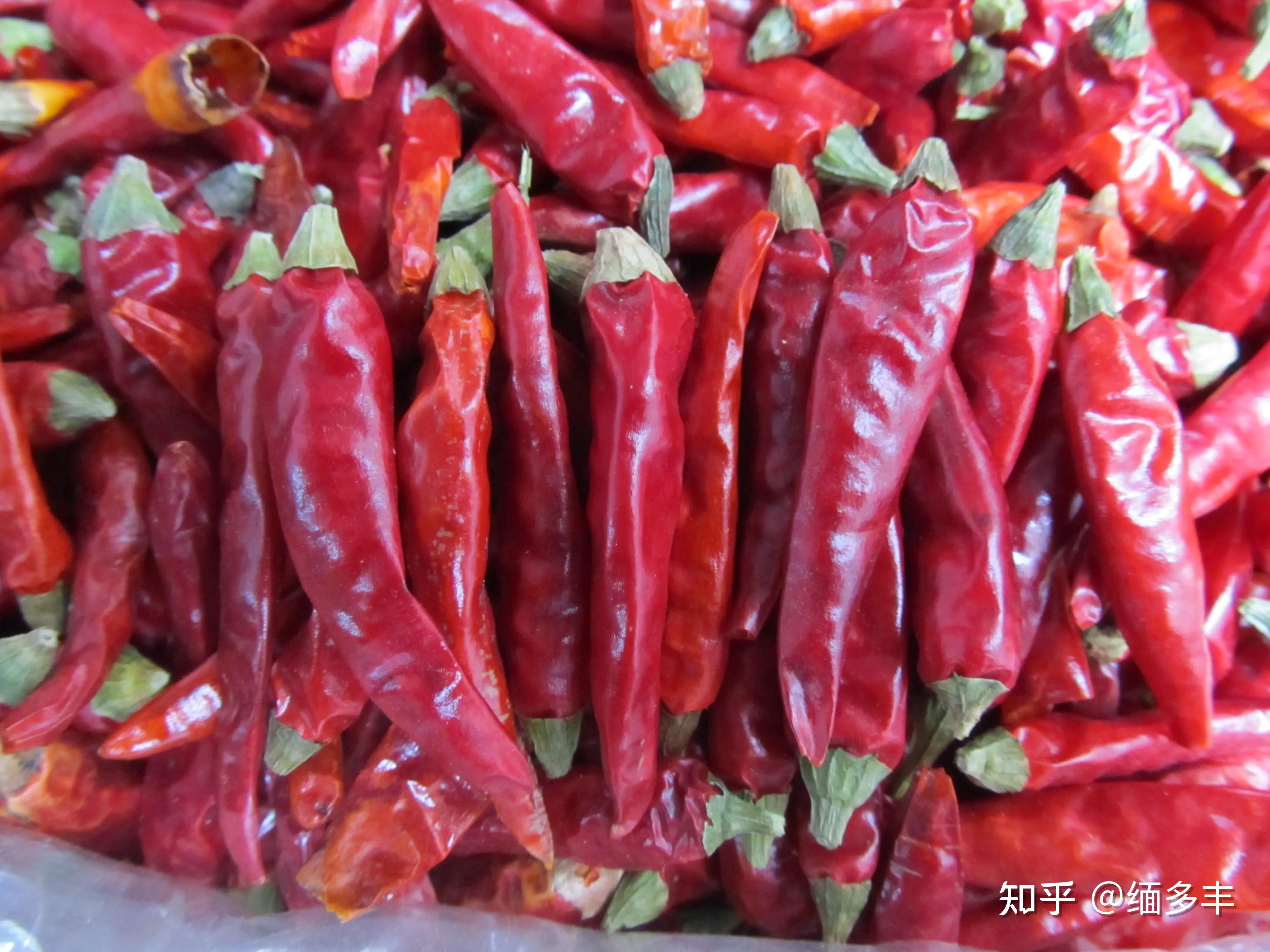 缅甸干辣椒及鲜辣椒深受泰国市场欢迎! - 知乎