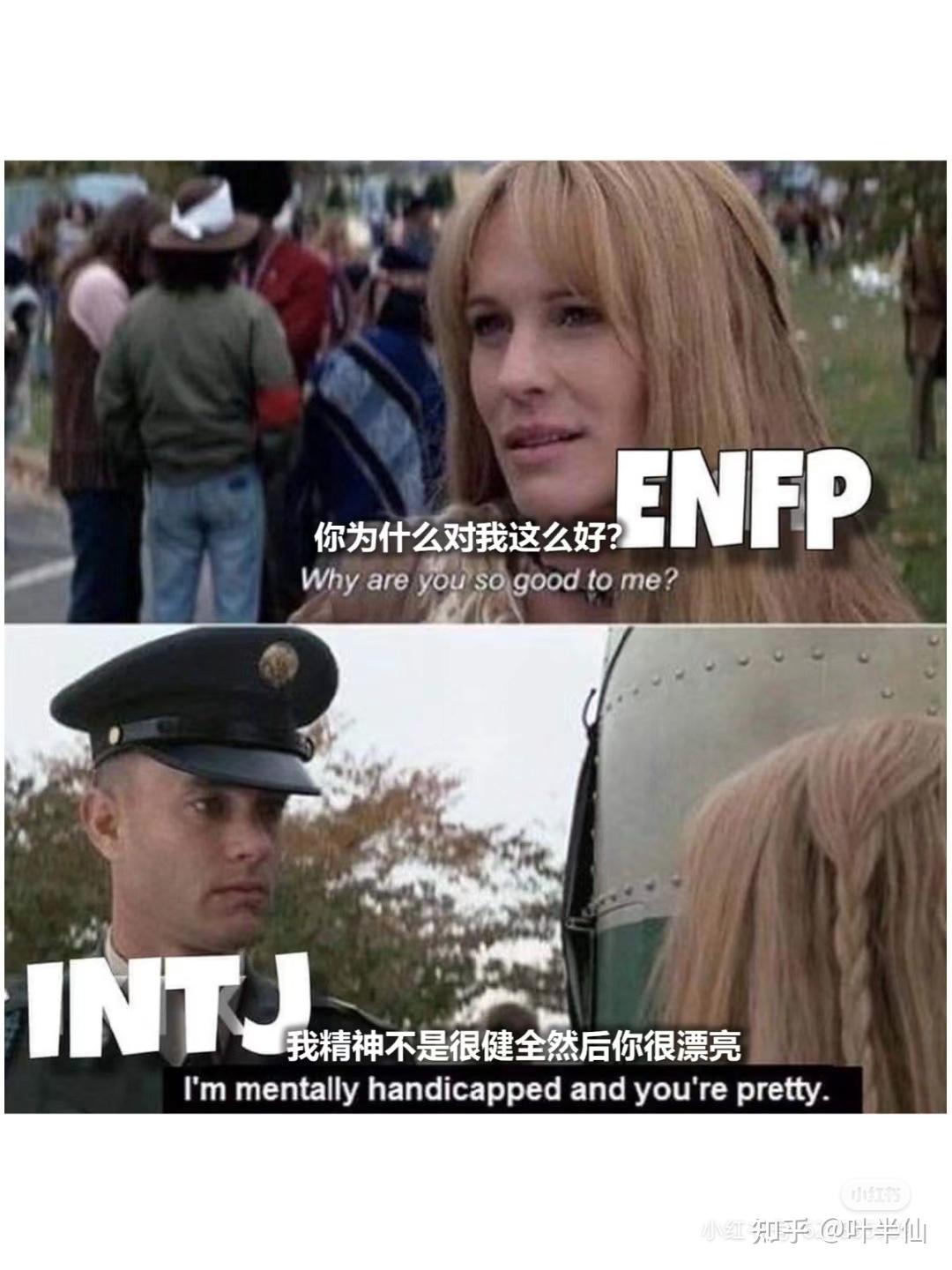 Intj梗图一览 知乎 