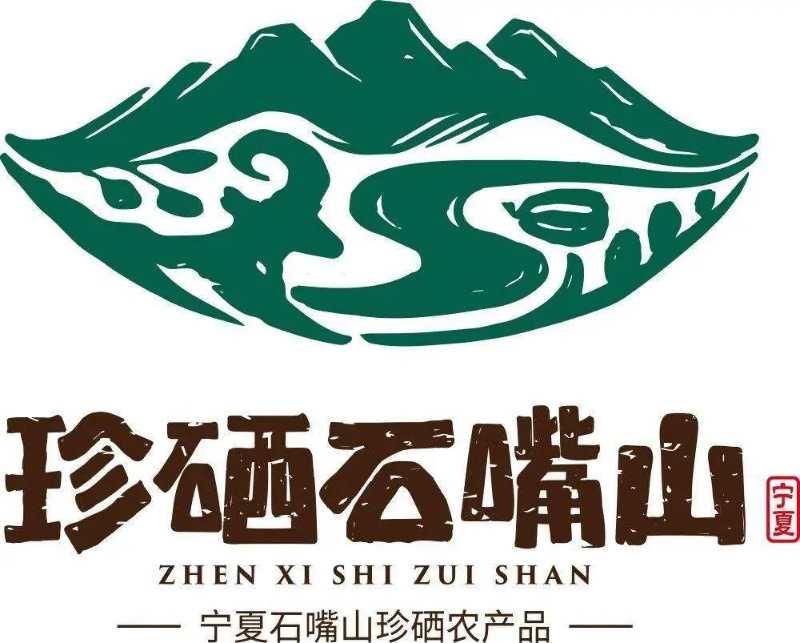 宁夏商贸公司的商业机遇与挑战