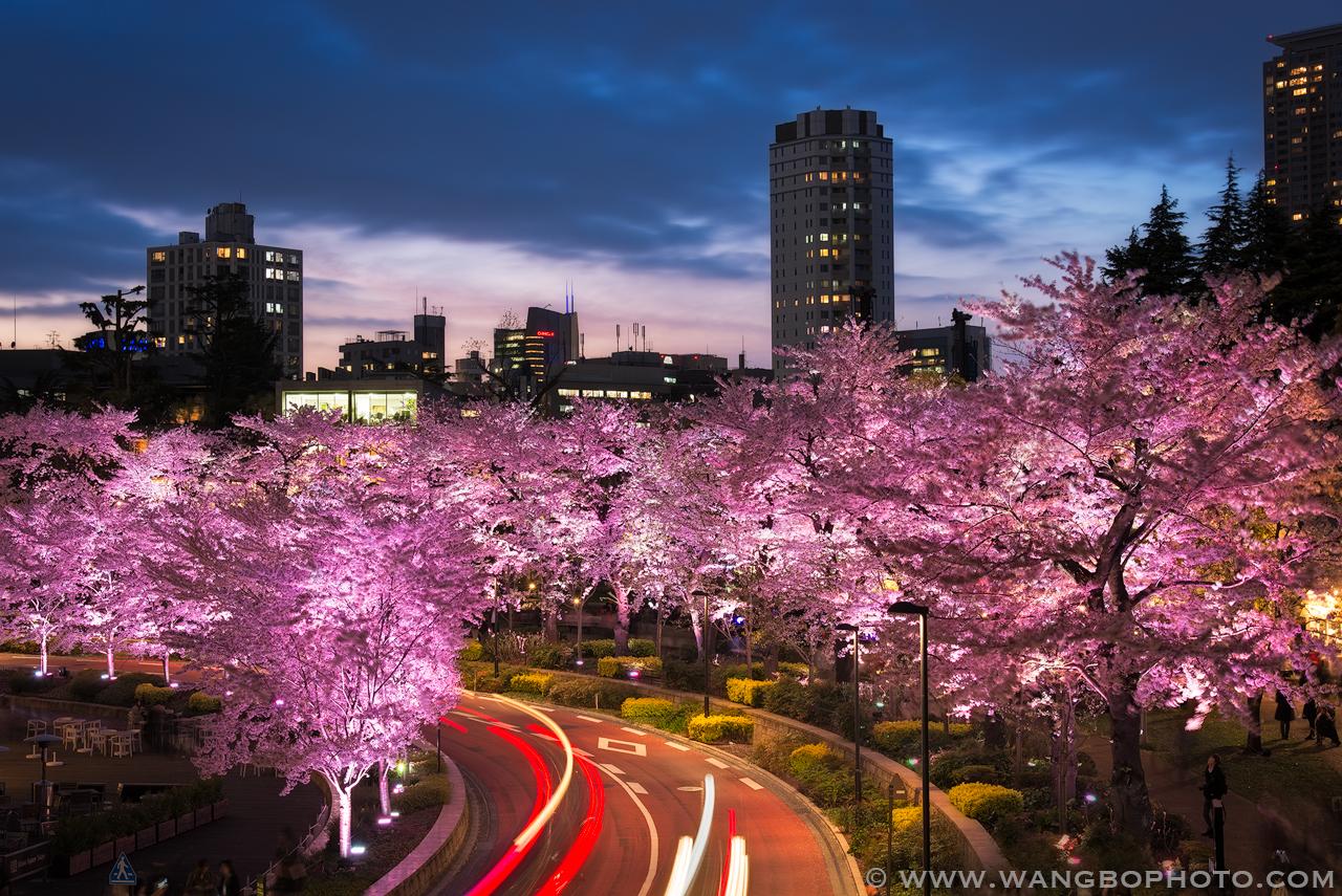如何拍好夜景 知乎 如何拍好夜景 知乎