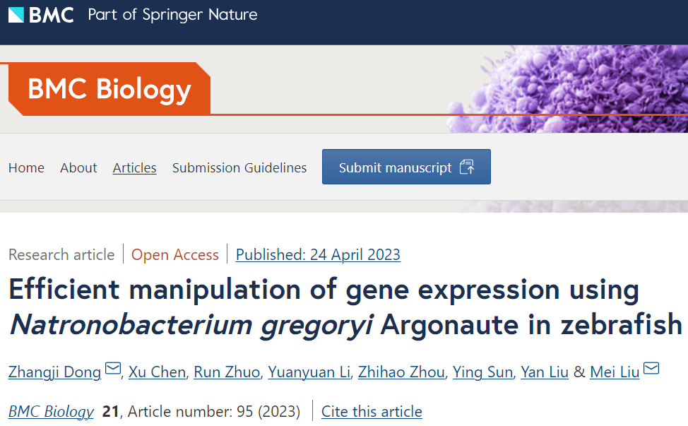 NgAgo用于基因编辑？南通大学刘梅等团队发现NgAgo可用于调控基因表达，但其过程仍需进一步优化 - 知乎