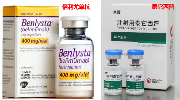 关于红斑狼疮的新药贝利尤单抗请问哪位有详细的了解