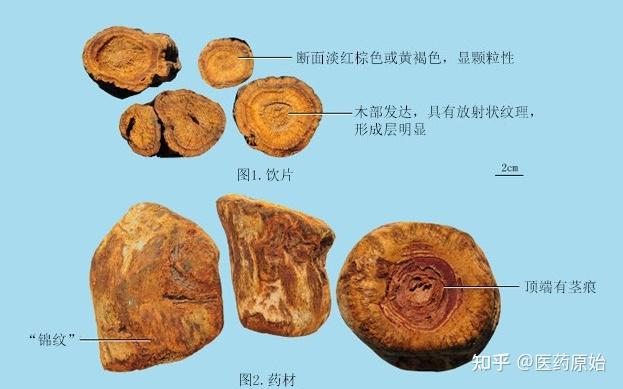 黄的分类及对应图片图片