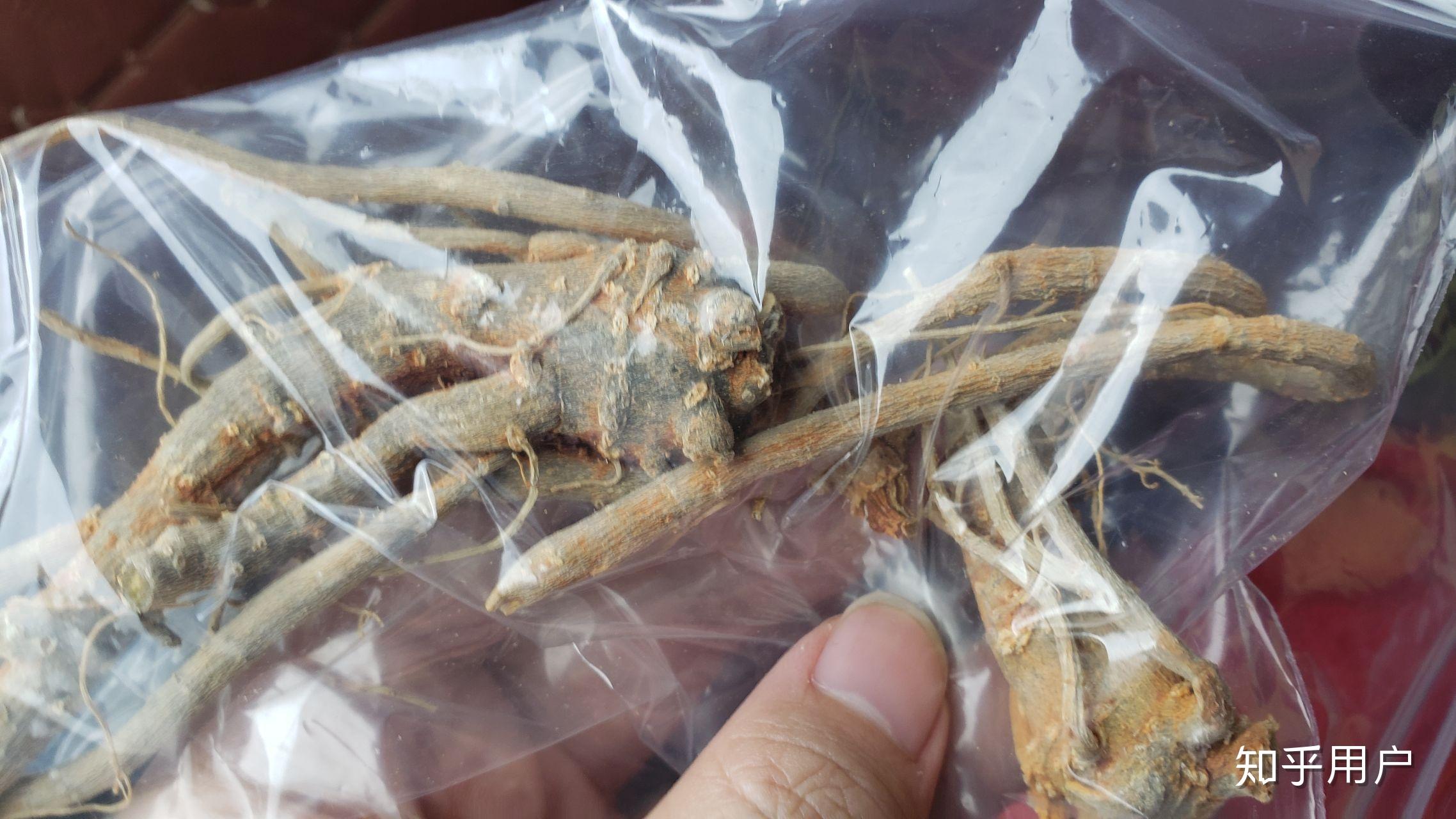 香格里拉买的,请问下这个三七是好还是坏? - 知乎