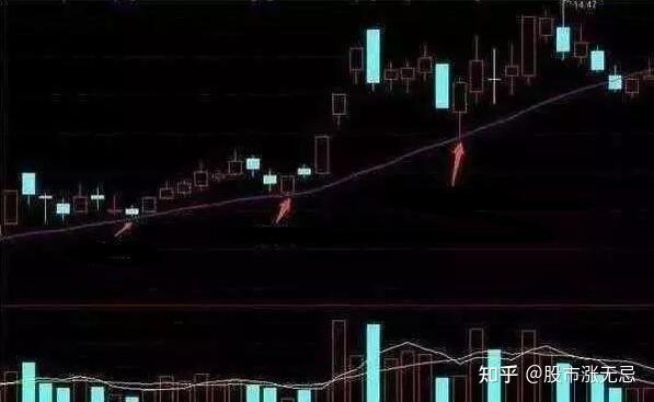 涨乎乎知乎=涨乎乎知乎周刊免费阅读小说