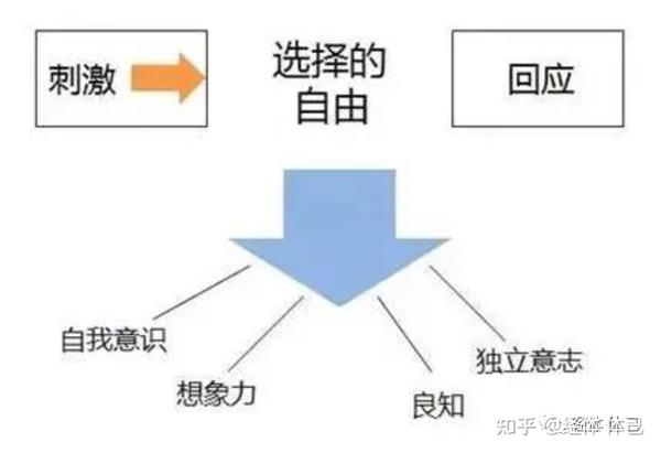 高效能人士的七个习惯一:积极主动(Be Proactive) - 知乎