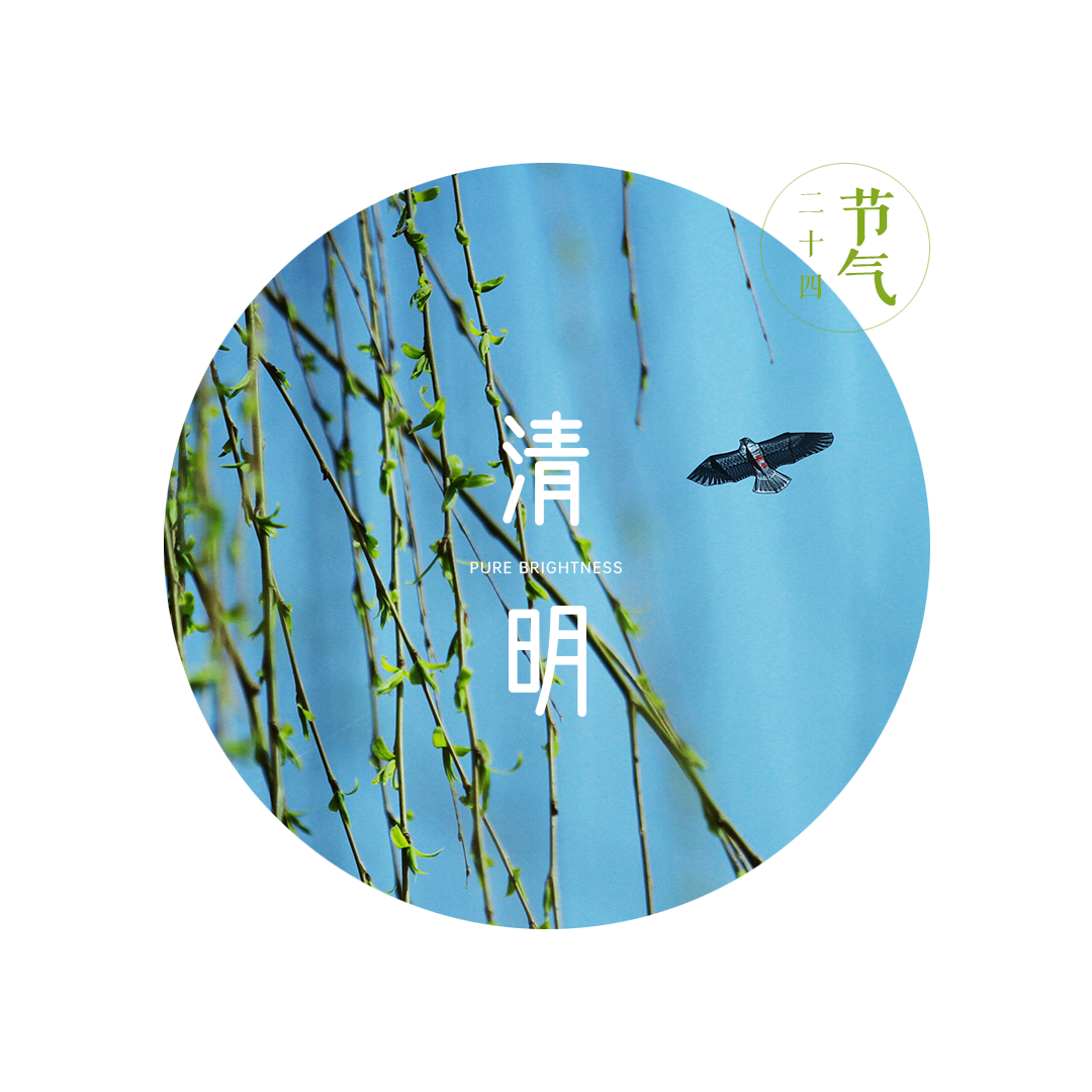 节气 清明节的由来 知乎