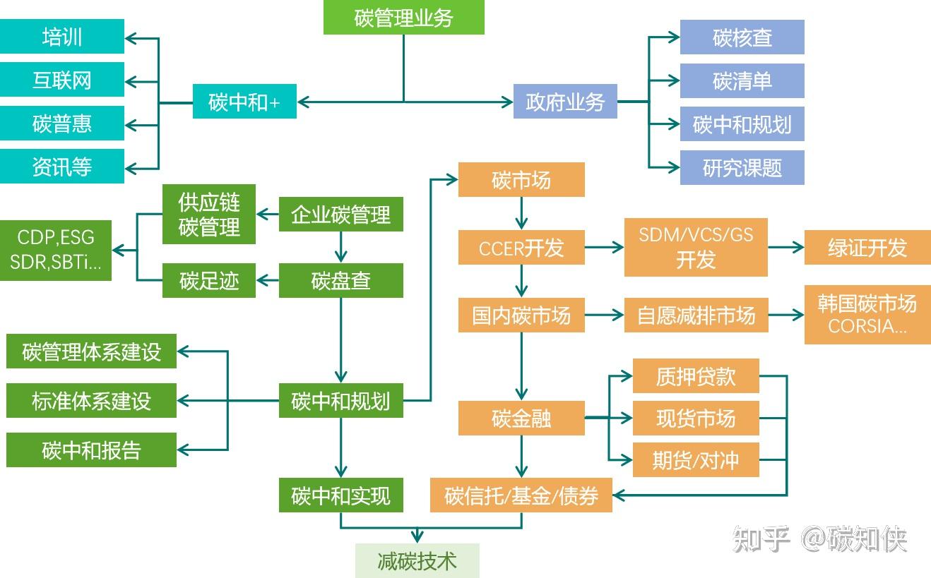 碳中和到底是什么年轻人怎么参与进去