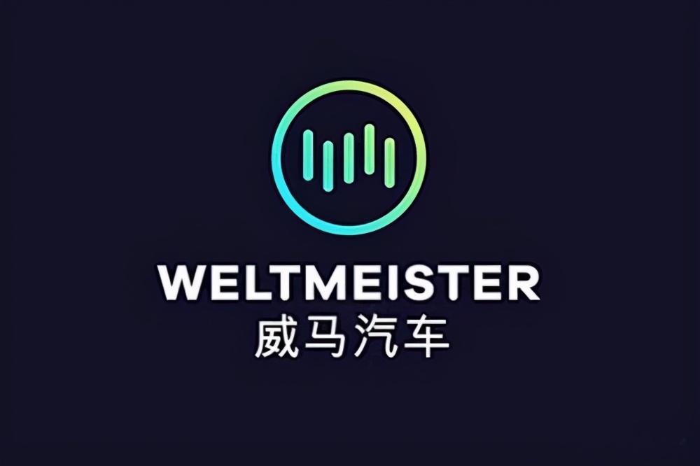 威马汽车暂缓ipo别信子虚乌有的事儿