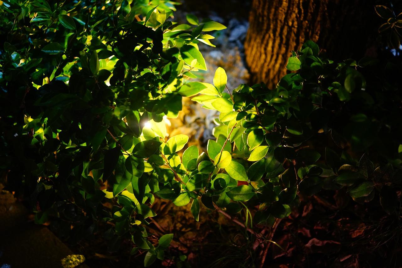 3. 环境色温切换