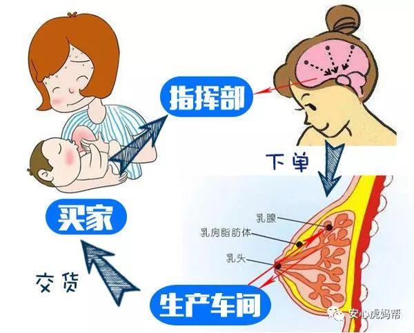 宝宝刚出生妈妈有奶吗涨奶痛不痛关于开奶的问题答案都在这了