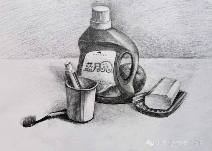 小学升初中美术强化素描优秀作品