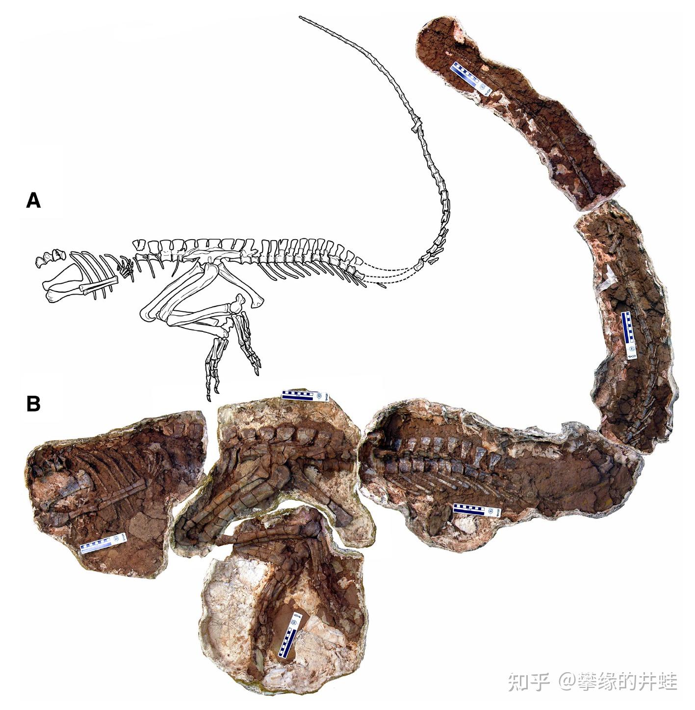 地球演义忽雷本纪2主龙第一帝国下