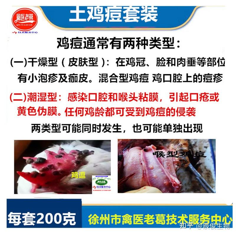 禽痘的临床症状及防控措施 - 知乎