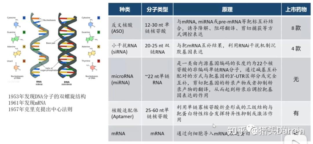 小核酸药物及递送系统梳理 - 知乎