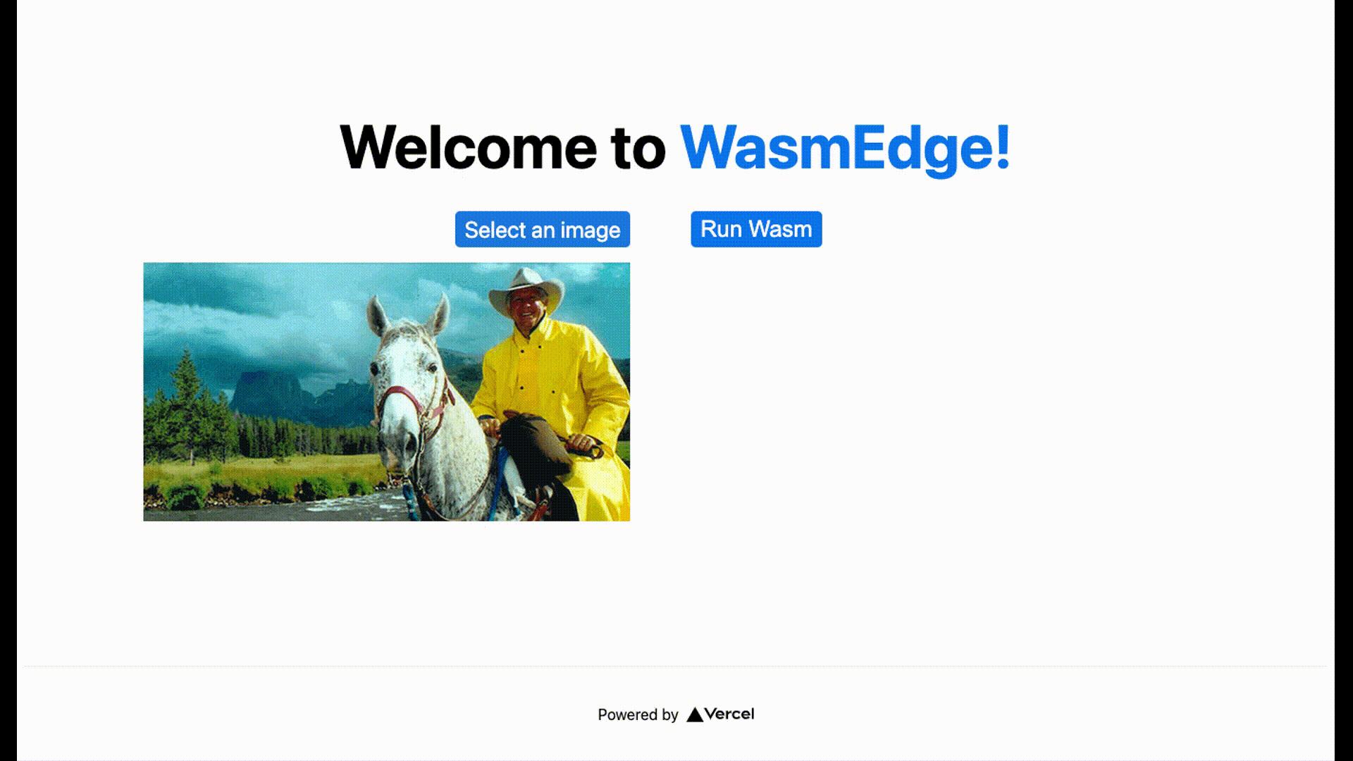用 Rust 和 Assembly 在 Vercel 上部署 Jamstack 应用 知乎