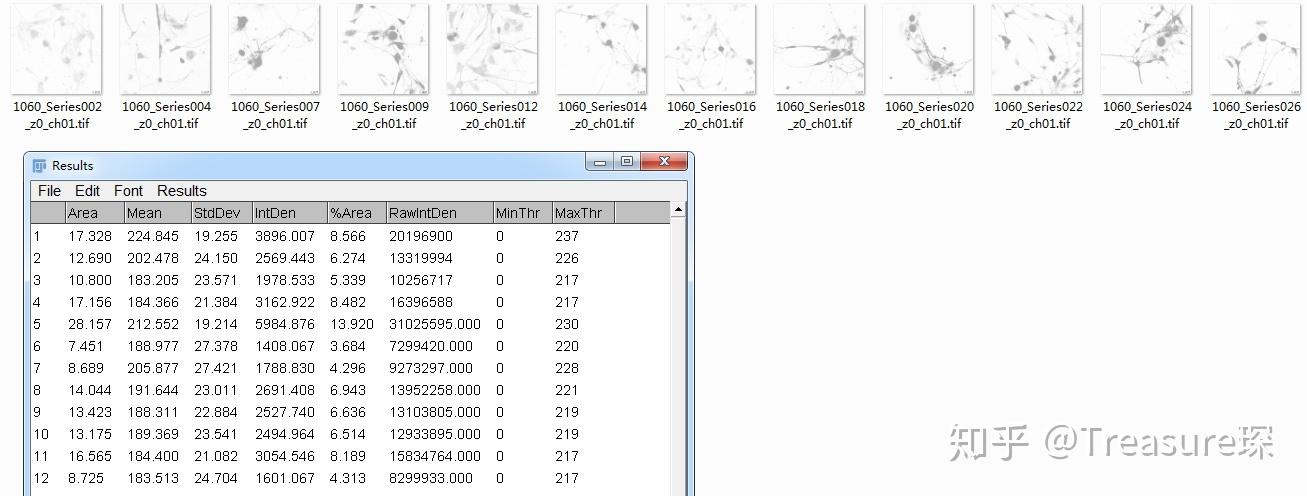 imagej batch processing imagej batch processing