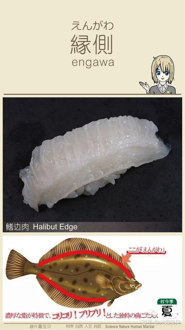 日本寿司一般会用到什么鱼 刺身的话除了三文鱼还有什么比较出名的鱼种供选用 寿司刺身有哪几种鱼 Urpimp网