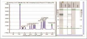 LabChip GXII Touch-贯穿蛋白研发流程的快速分析 - 知乎