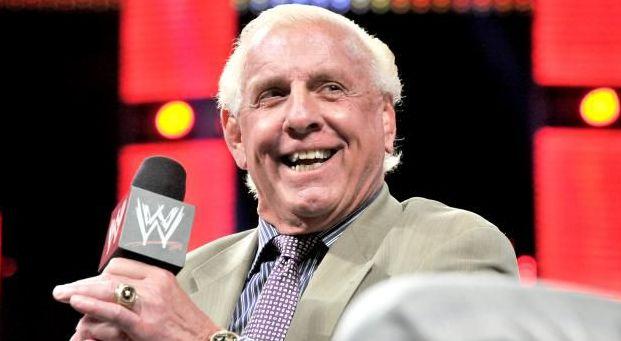 cold steve austin(冷石史蒂夫奥斯汀)john cena(约翰塞纳)cm punk(cm