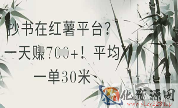 小红书抄书项目_wwz