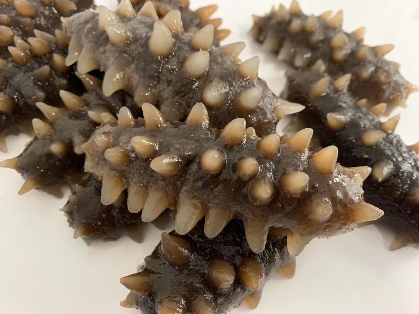 4,含有特殊的活性营养物质,海参酸性粘多糖,海参皂甙(海参素,海参毒素