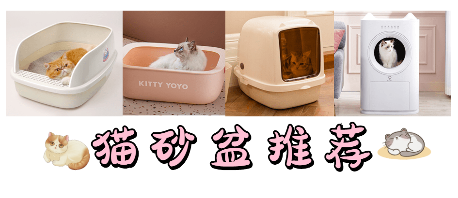 v2-f51db0a3add6fdb0d4d195cb12007498_1440w.jpg?source=172ae18b