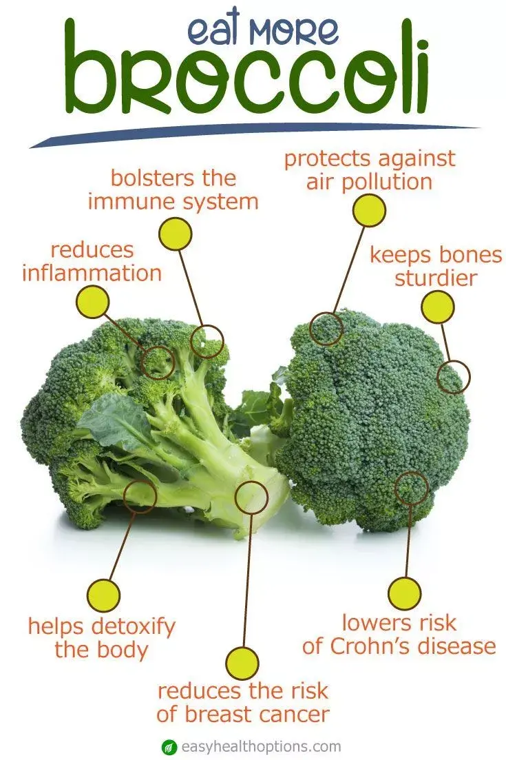 为什么说西兰花的营养价值在所有蔬菜中是最高的这个说法对吗