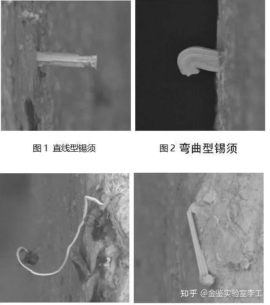 锡须的原由以及处理方法 - 知乎