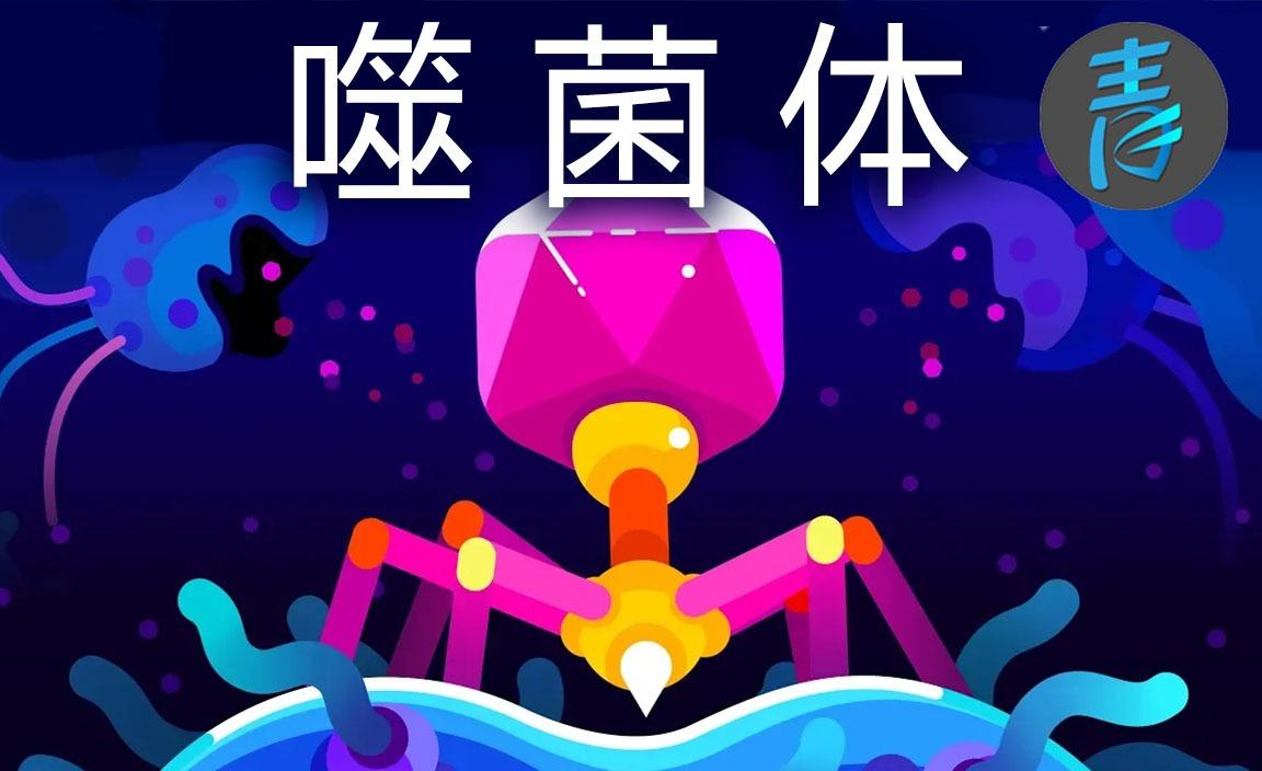 噬菌体的形态