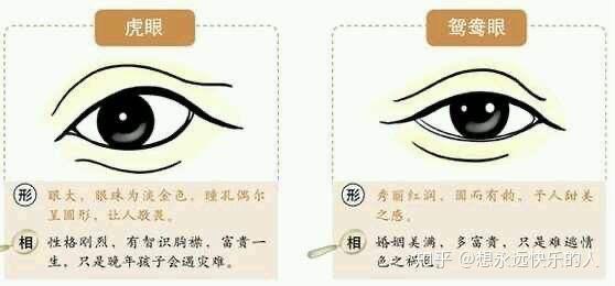 学面相:快来看看你在什么时候能发财? - 知乎