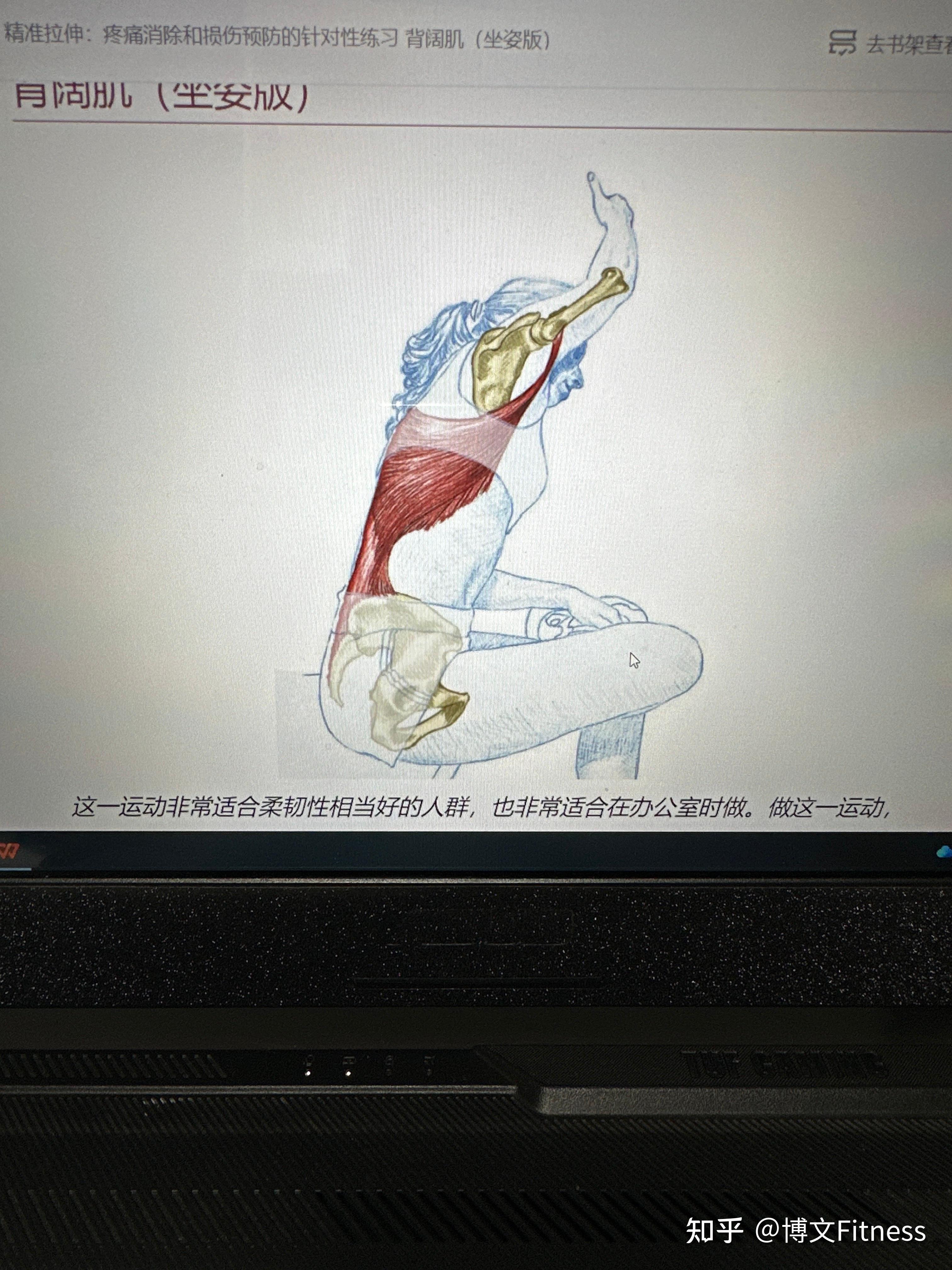 剧烈运动后该怎么拉伸背阔肌? - 知乎
