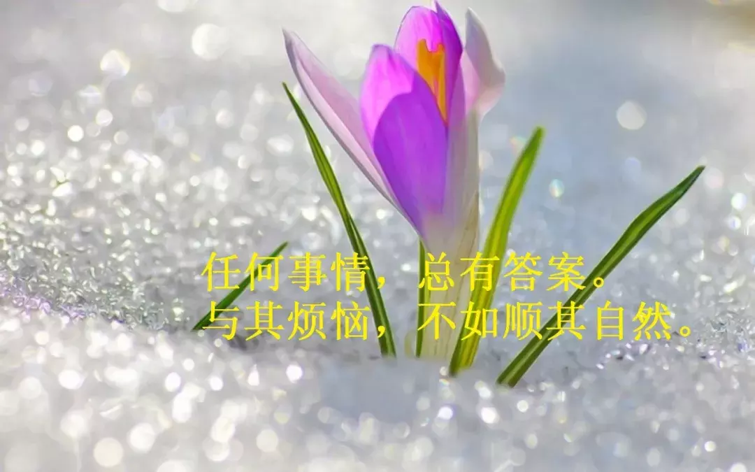 2021最经典的人生哲理句子语录句句深入心有些痛只有自己懂