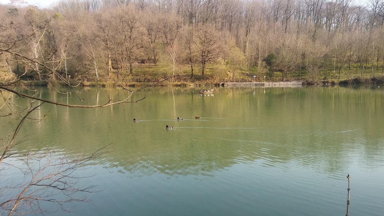 5. 碧绿湖周边详查