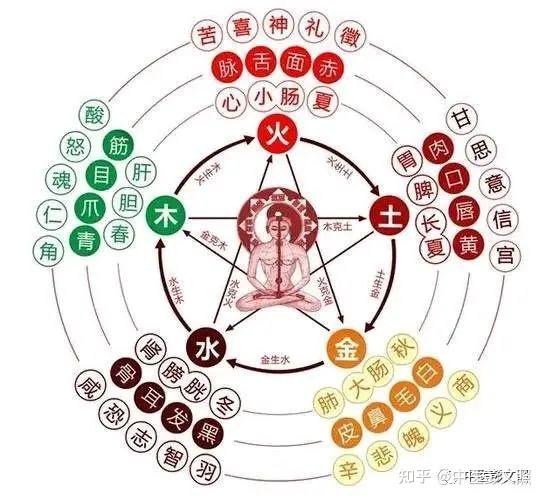 ��������ҽ����(4)������(һ) - ֪��