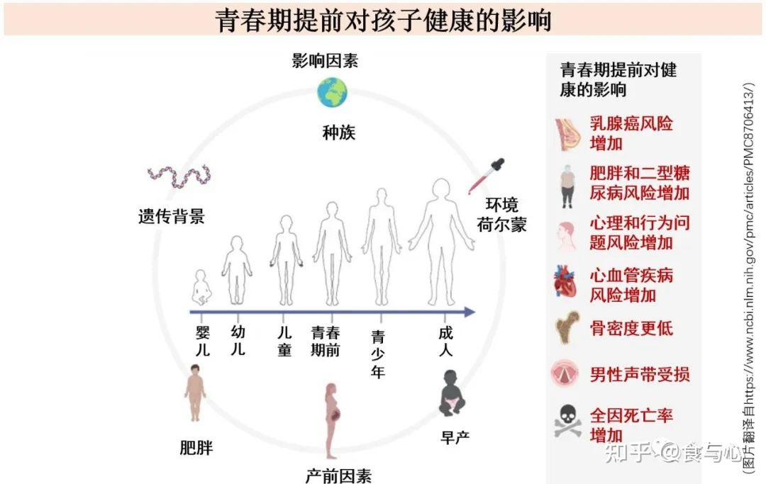 女孩子性早熟的原因图片