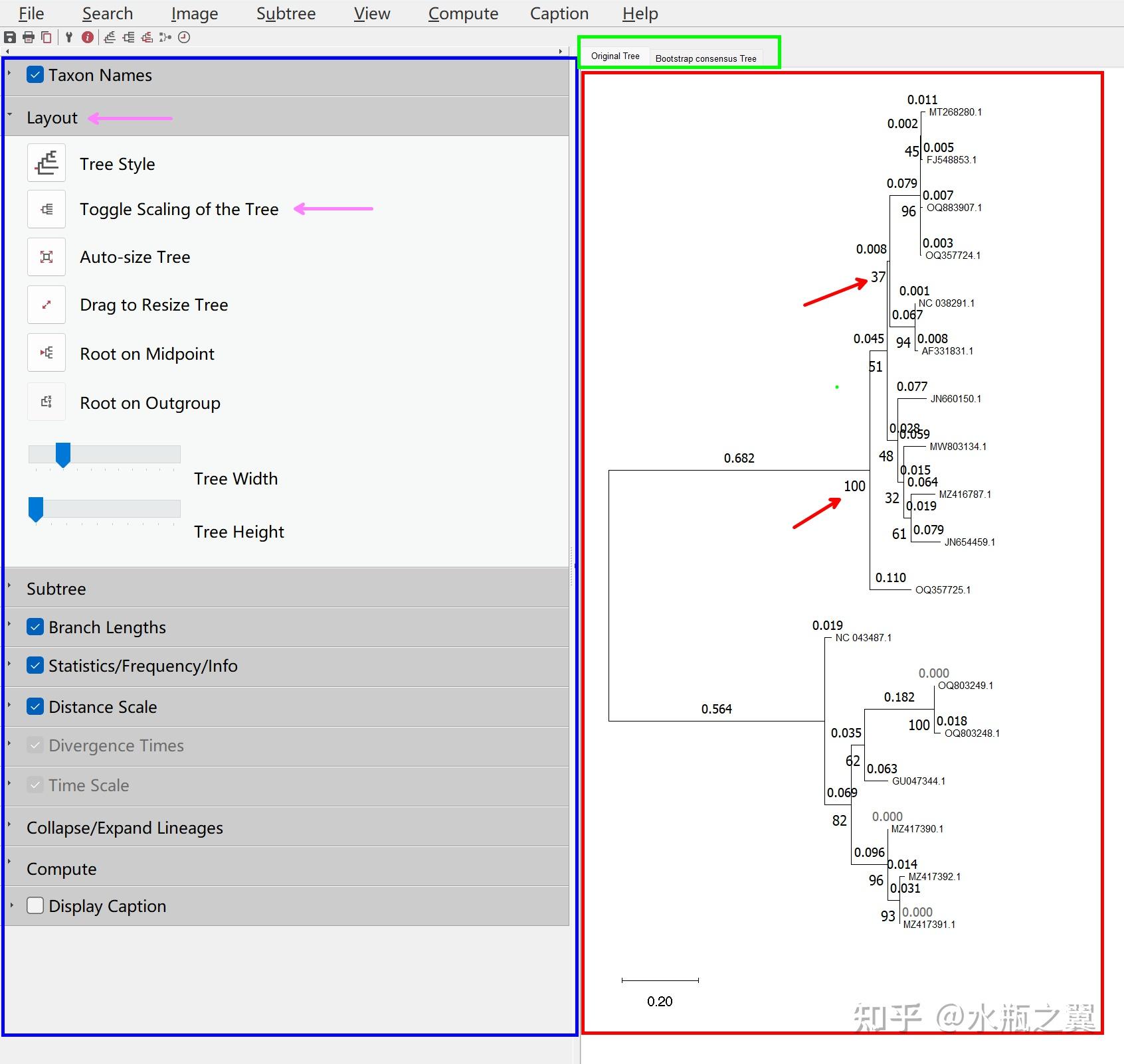 手把手教你绘制进化树（理论与实践） - 知乎