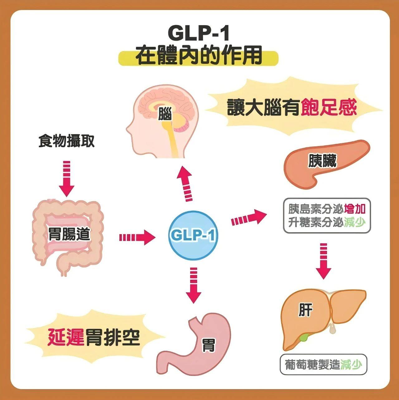 how long after first injection does semaglutide work How Long Does Semaglutide Take to Work? Timeline for Weight Loss
