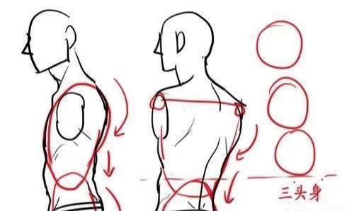 怎么画好头肩比例呀?
