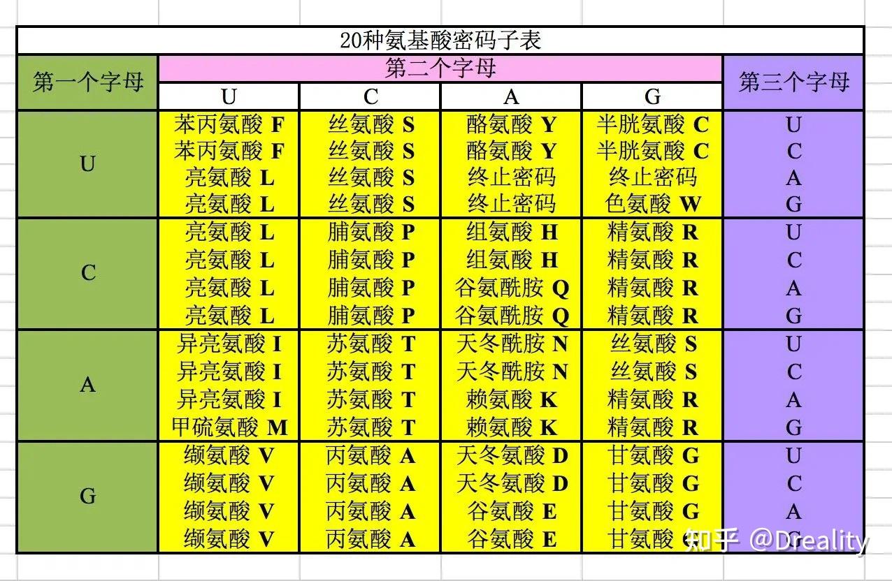 DNA的一个基本单位的信息量是多少? - 知乎