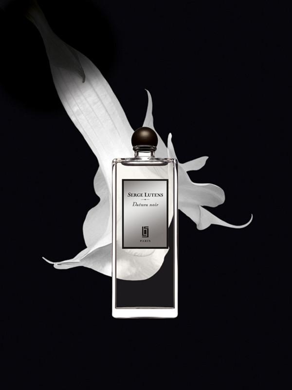 藏在名字下的治愈温香芦丹氏黑色曼陀罗