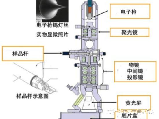 TEM透射电子显微镜 – 全平台 – 解说 – 攻略 - 知乎