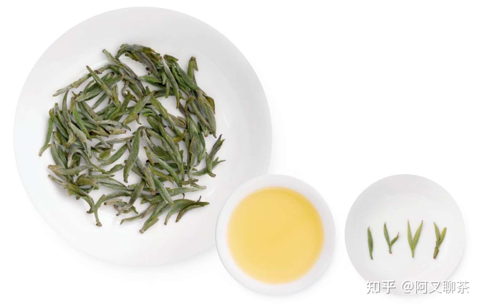茶科普:详解六大茶之黄茶 - 知乎