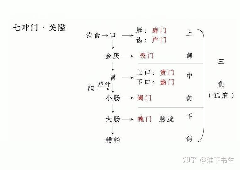 七冲门连起来指的就是食物经过人体消化系统走了一遍之后